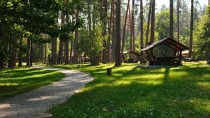 Лісова стежка для прогулянок, заміський комплекс для сімейного дозвілля, відпочинок в Україні 2025.