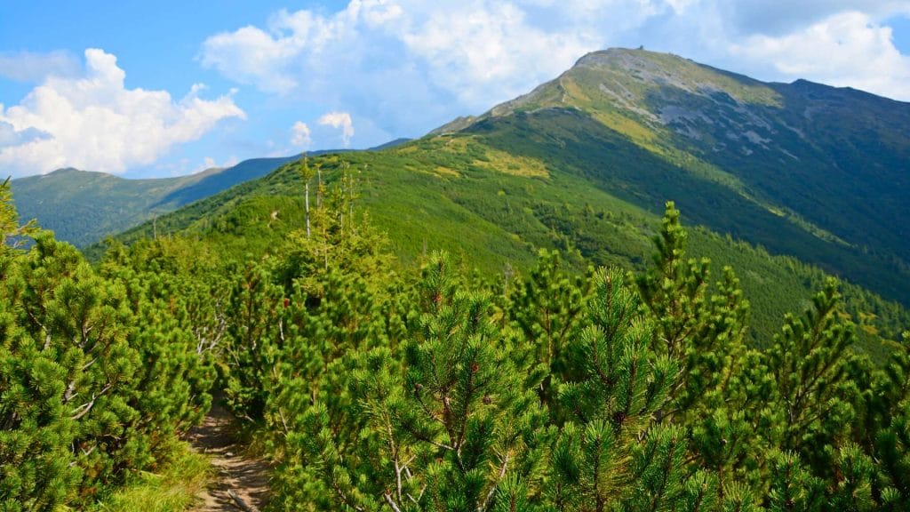 Гора Піп Іван у Карпатах, популярна локація для походів та відпочинку в Україні 2025.