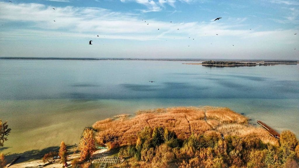 Шацькі озера, популярний варіант для купання, риболовлі та відпочинку в Україні 2025.