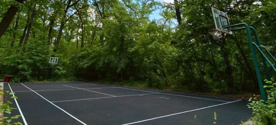 xr:d:DAGBLpNlgYI:26,j:7600248588787409333,t:24040810