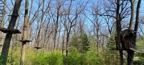 xr:d:DAGBLpNlgYI:29,j:3247519765100018878,t:24041013