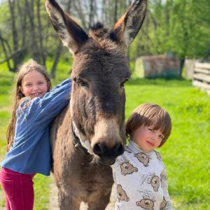 ostrivzoo-gal-item (8)